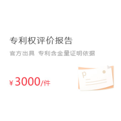 专利权评价报告