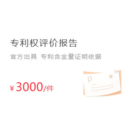 专利权评价报告